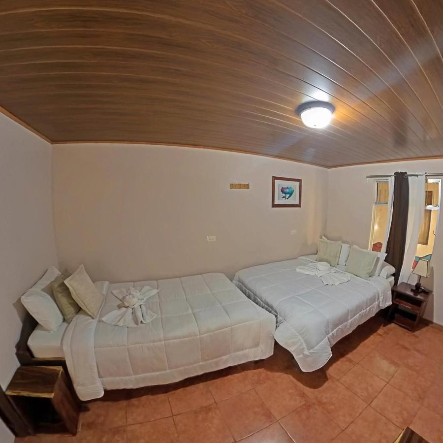 Casa Jungle Monteverde B&B المظهر الخارجي الصورة