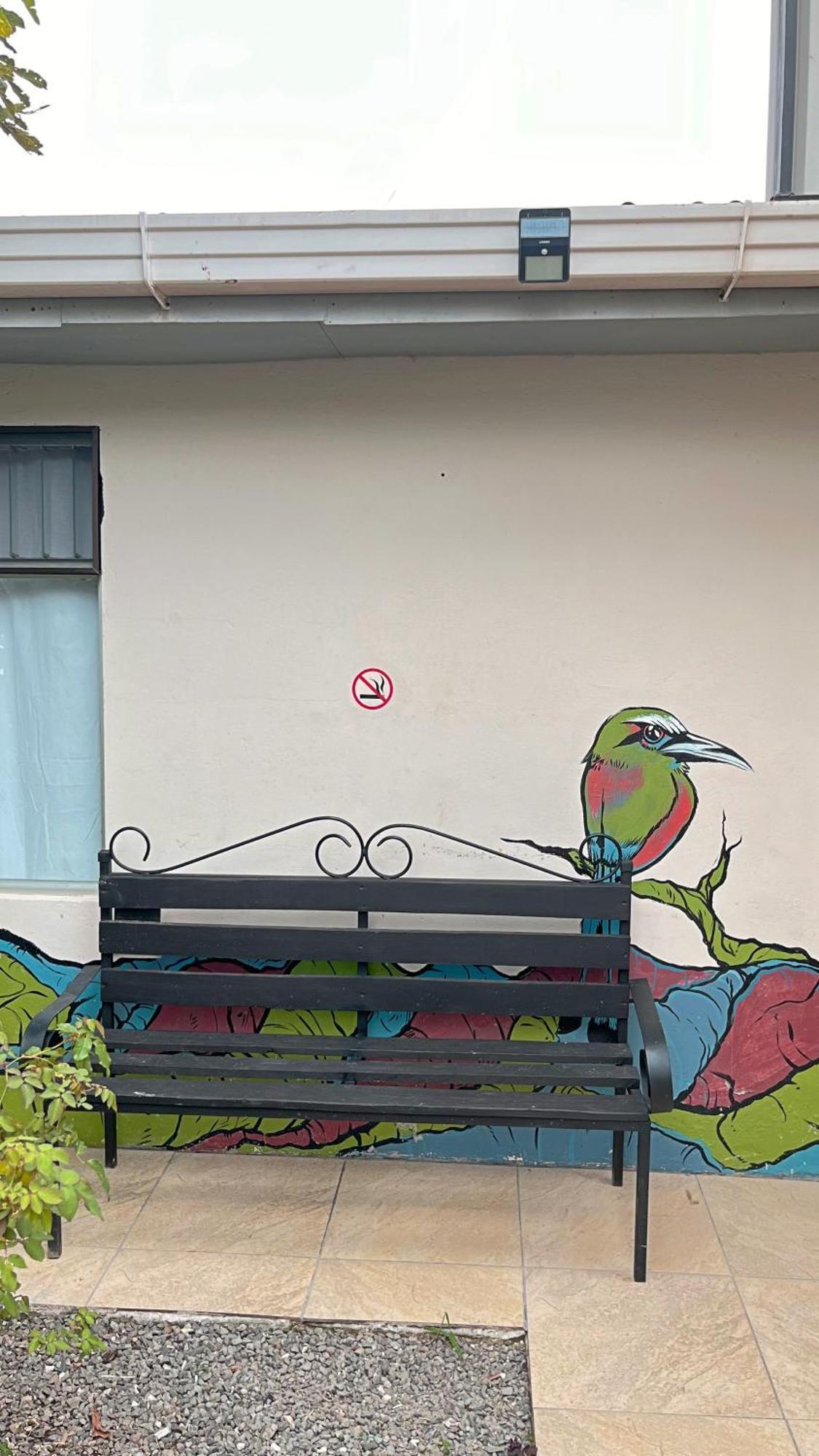 Casa Jungle Monteverde B&B المظهر الخارجي الصورة