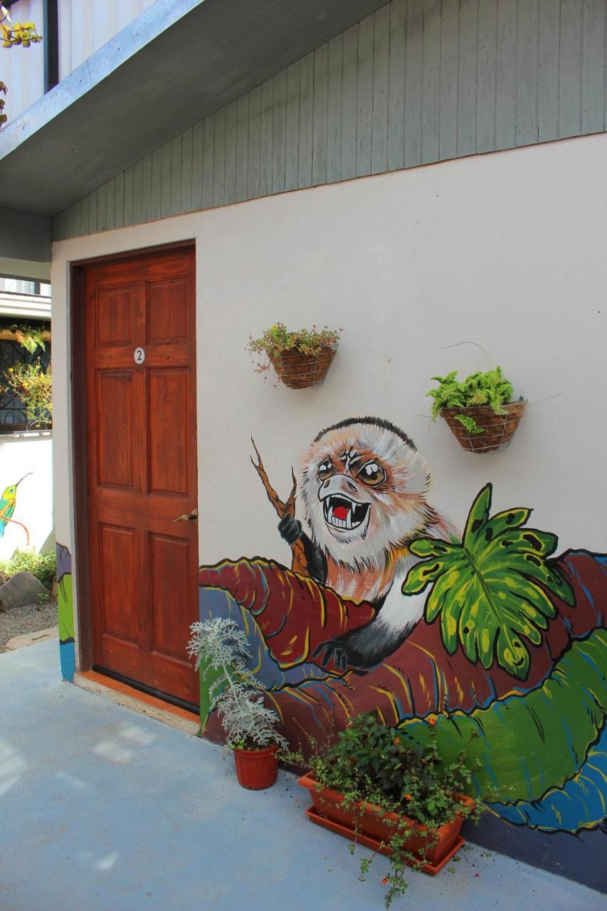 Casa Jungle Monteverde B&B المظهر الخارجي الصورة