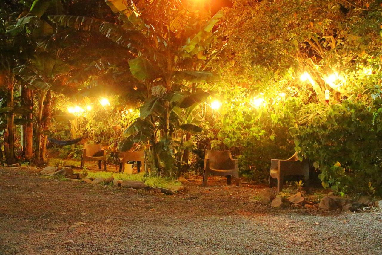 Casa Jungle Monteverde B&B المظهر الخارجي الصورة