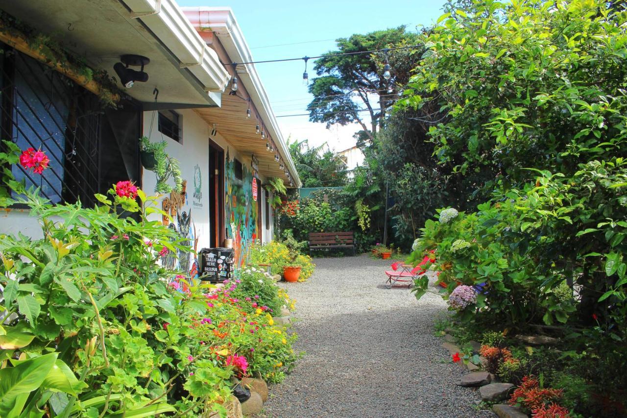 Casa Jungle Monteverde B&B المظهر الخارجي الصورة