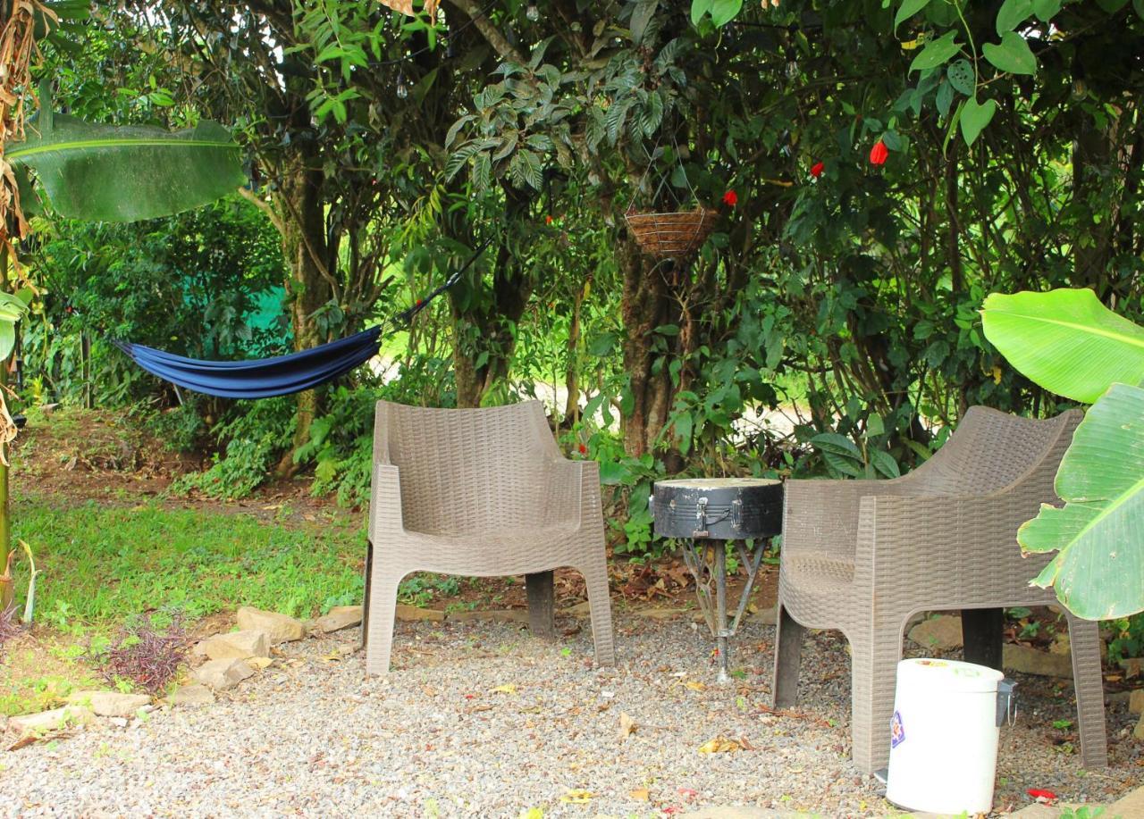 Casa Jungle Monteverde B&B المظهر الخارجي الصورة