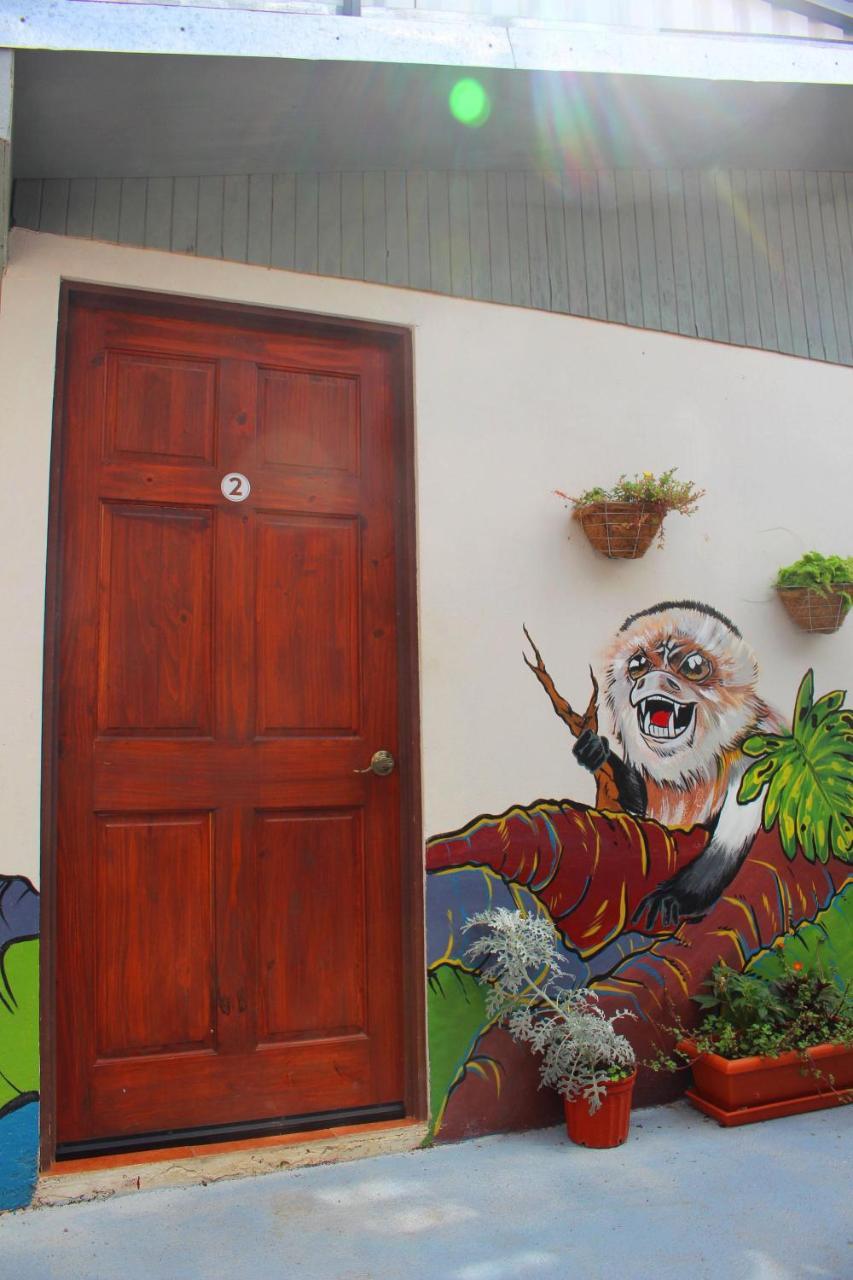 Casa Jungle Monteverde B&B المظهر الخارجي الصورة