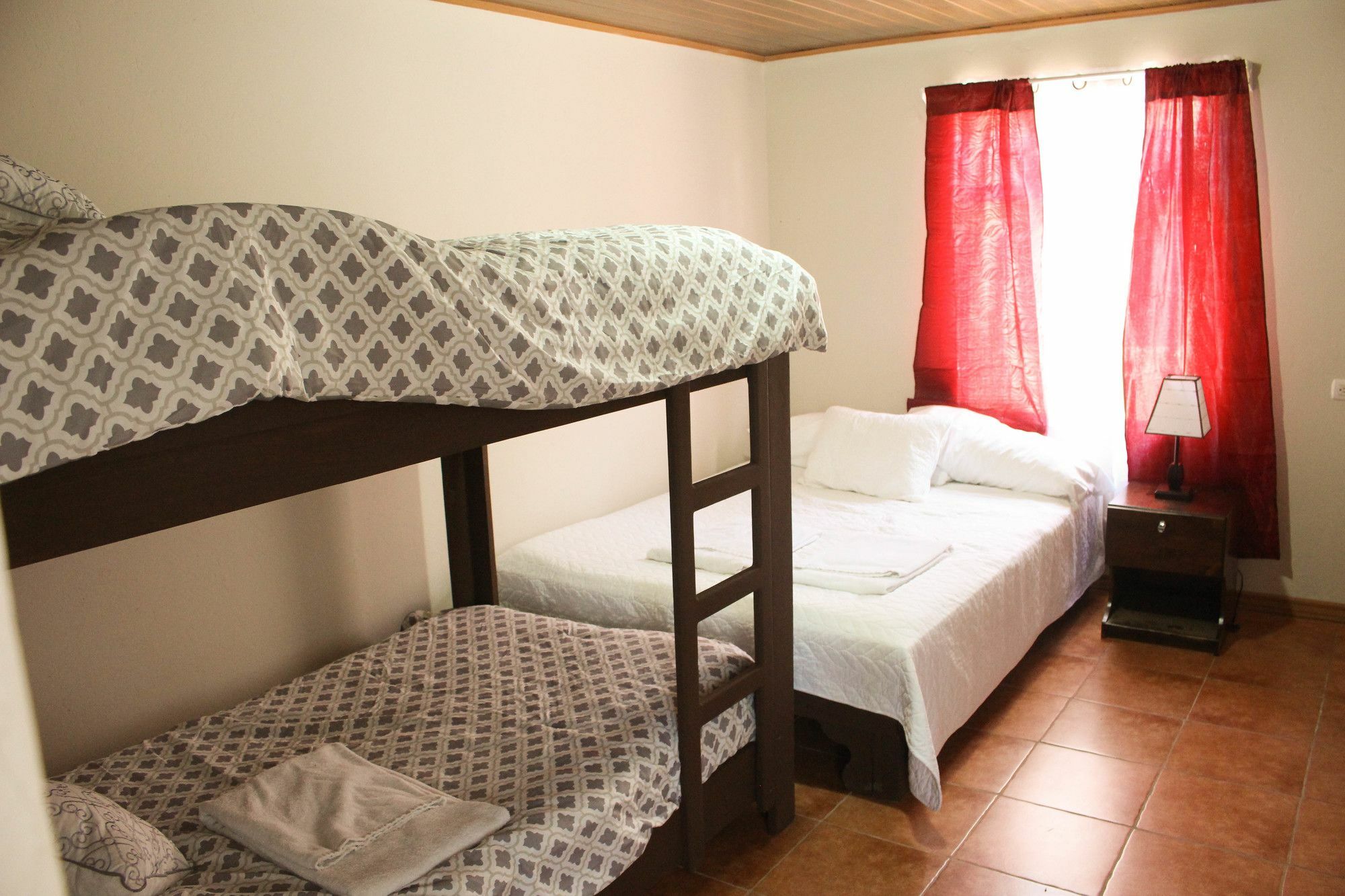 Casa Jungle Monteverde B&B المظهر الخارجي الصورة